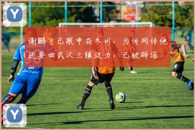 谢鹏飞已跟申花冬训，为何网传他还要回武汉三镇效力，已被辟谣