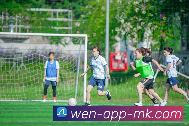 多媒体互动体验